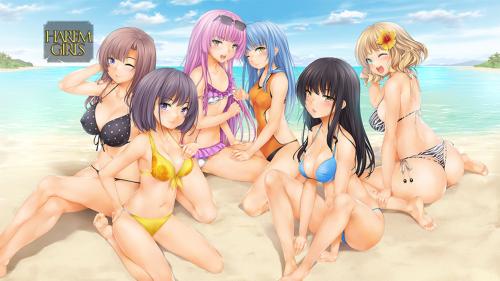 อันดับ 6 เกม 18+ Harem Wars